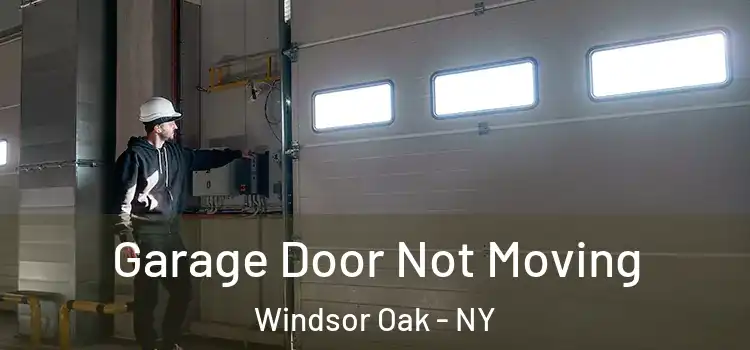  Garage Door Not Moving Windsor Oak - NY