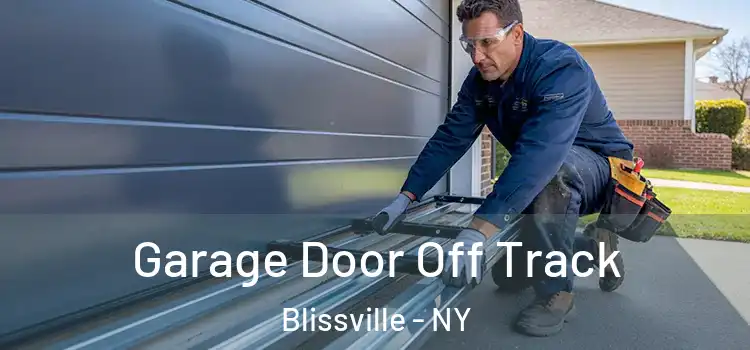  Garage Door Off Track Blissville - NY