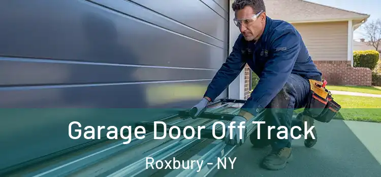  Garage Door Off Track Roxbury - NY