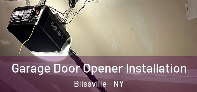  Garage Door Opener Installation Blissville - NY