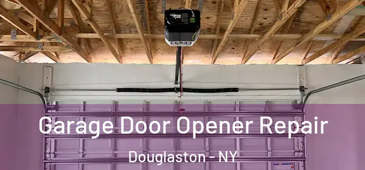  Garage Door Opener Repair Douglaston - NY