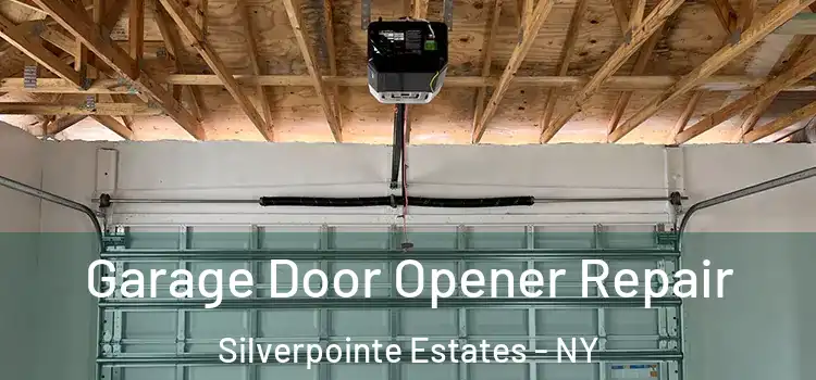 Garage Door Opener Repair Silverpointe Estates - NY