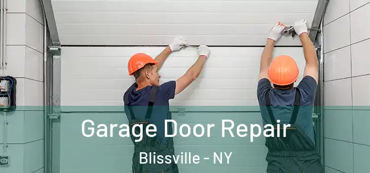  Garage Door Repair Blissville - NY