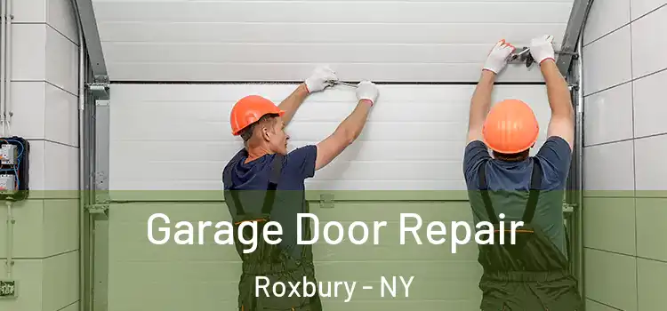  Garage Door Repair Roxbury - NY
