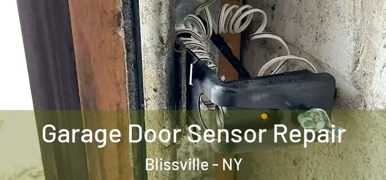 Garage Door Sensor Repair Blissville - NY