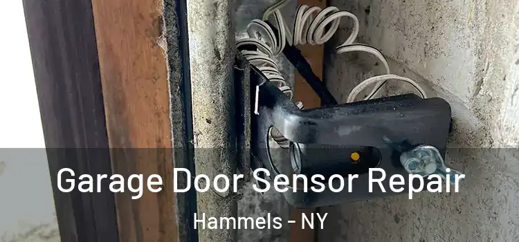 Garage Door Sensor Repair Hammels - NY