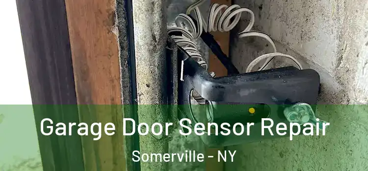 Garage Door Sensor Repair Somerville - NY