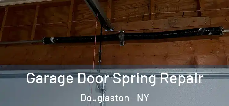  Garage Door Spring Repair Douglaston - NY