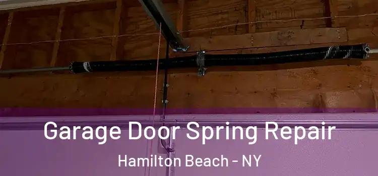  Garage Door Spring Repair Hamilton Beach - NY