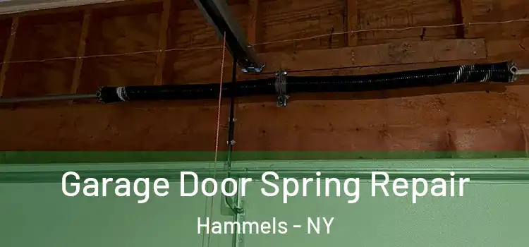  Garage Door Spring Repair Hammels - NY
