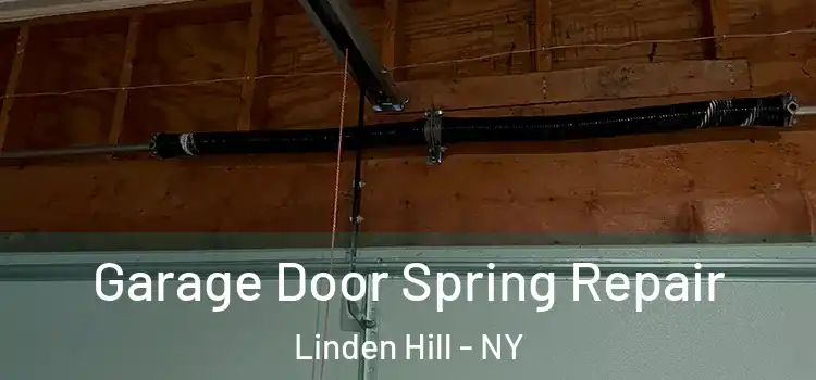  Garage Door Spring Repair Linden Hill - NY