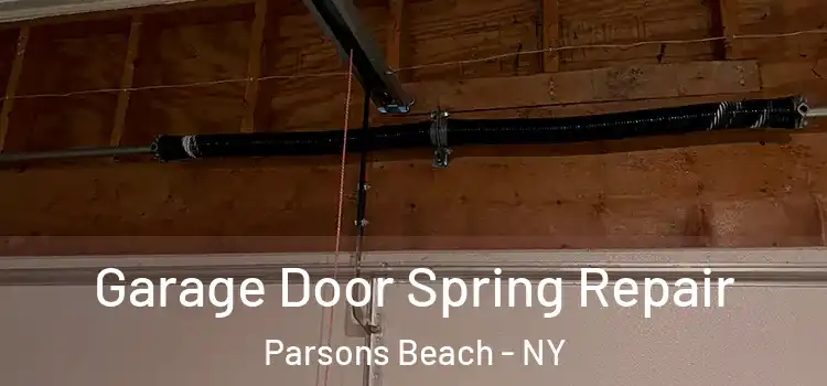  Garage Door Spring Repair Parsons Beach - NY