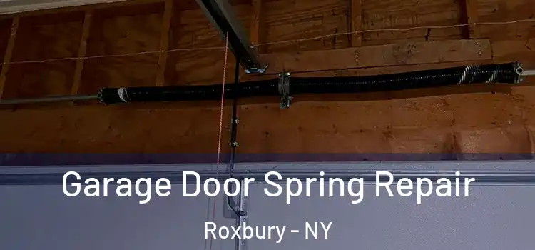  Garage Door Spring Repair Roxbury - NY