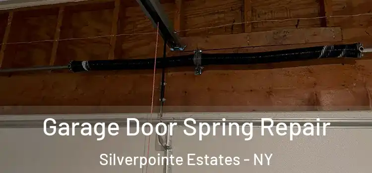  Garage Door Spring Repair Silverpointe Estates - NY