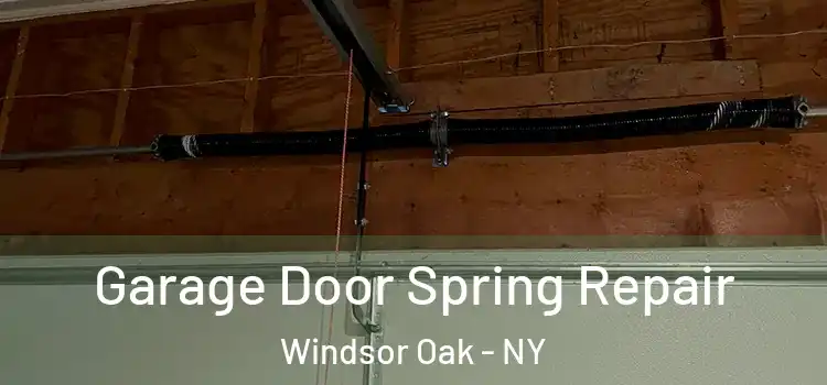  Garage Door Spring Repair Windsor Oak - NY