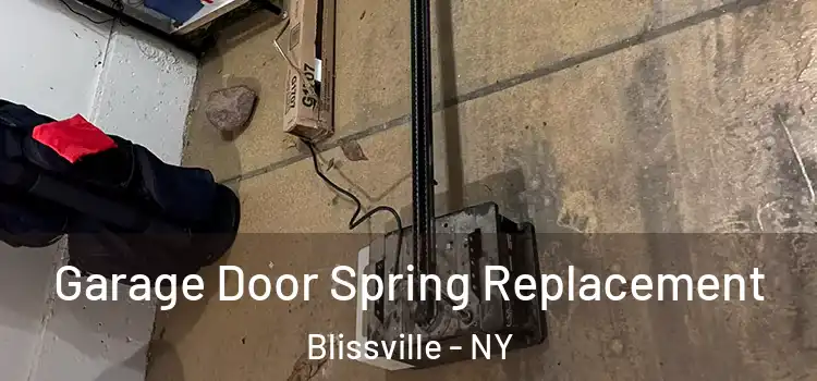  Garage Door Spring Replacement Blissville - NY