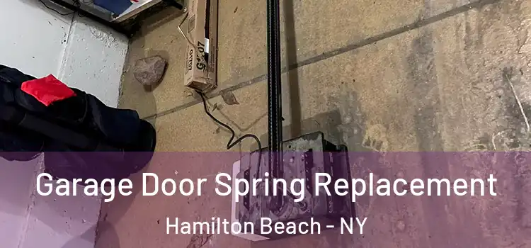 Garage Door Spring Replacement Hamilton Beach - NY