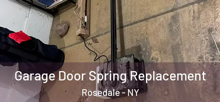  Garage Door Spring Replacement Rosedale - NY