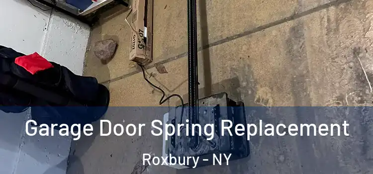  Garage Door Spring Replacement Roxbury - NY
