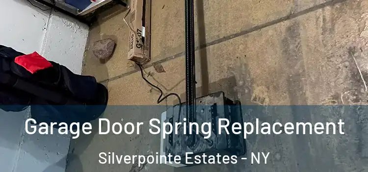  Garage Door Spring Replacement Silverpointe Estates - NY