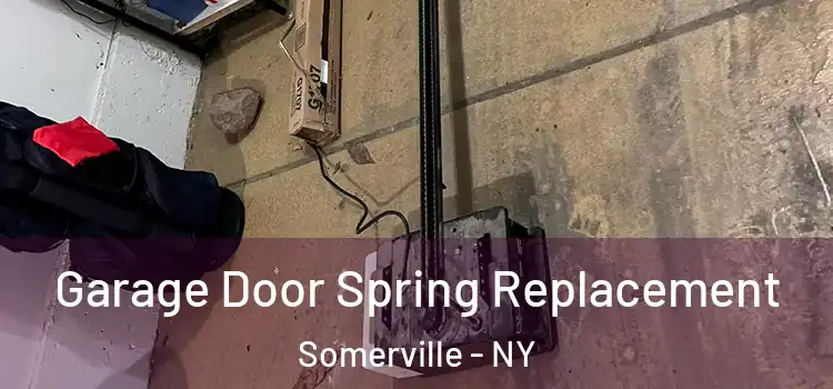  Garage Door Spring Replacement Somerville - NY