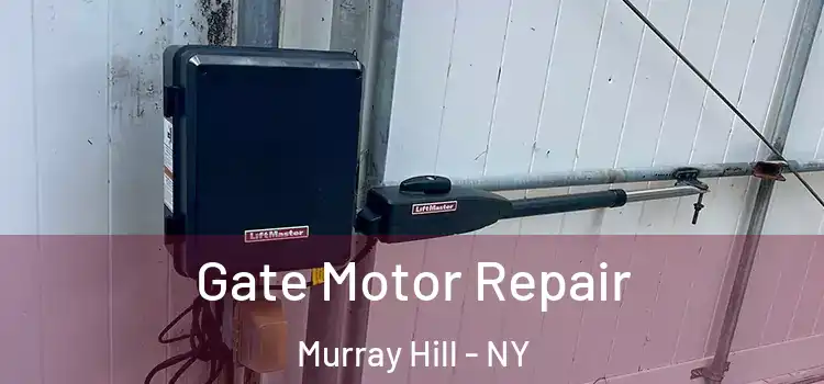  Gate Motor Repair Murray Hill - NY