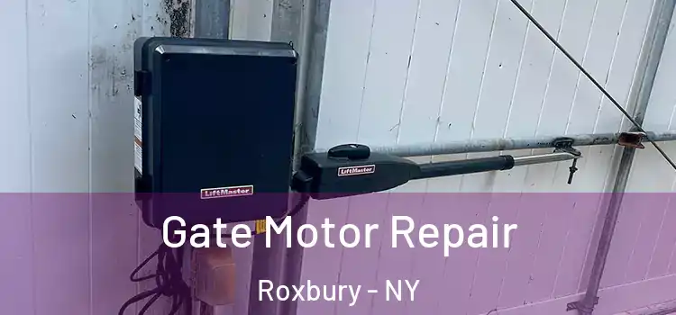 Gate Motor Repair Roxbury - NY