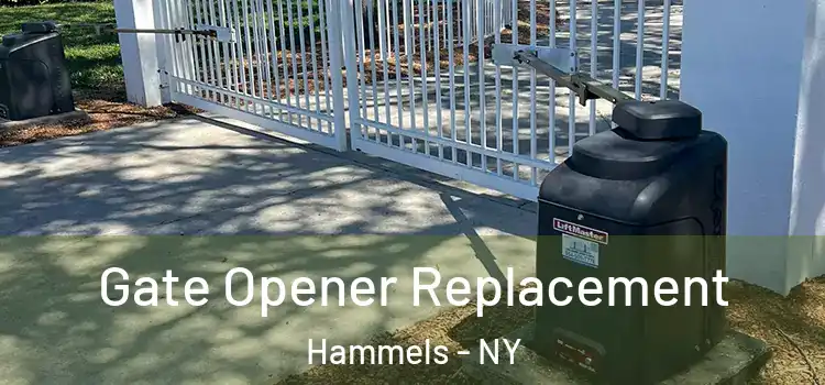 Gate Opener Replacement Hammels - NY