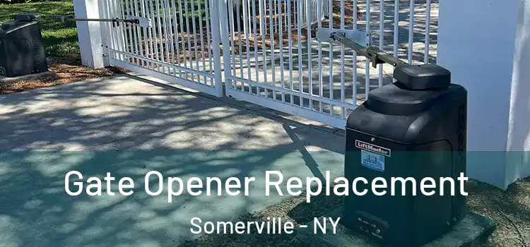 Gate Opener Replacement Somerville - NY