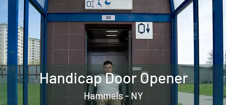 Handicap Door Opener Hammels - NY