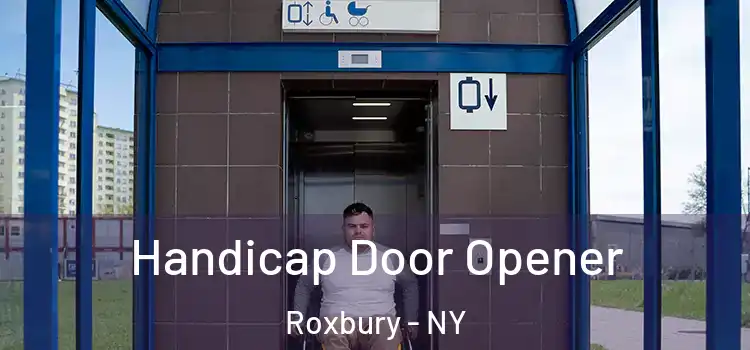  Handicap Door Opener Roxbury - NY