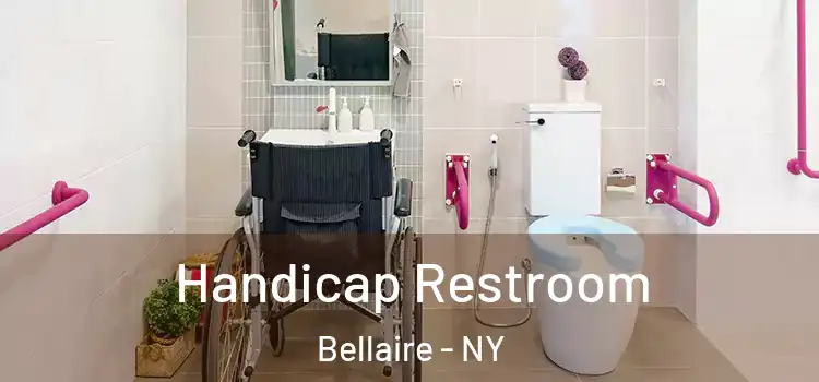 Handicap Restroom Bellaire - NY