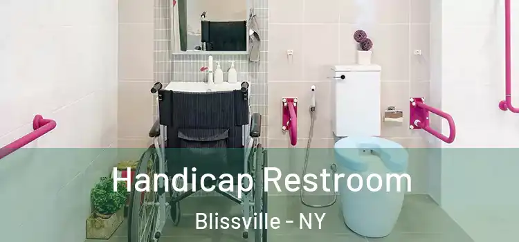 Handicap Restroom Blissville - NY