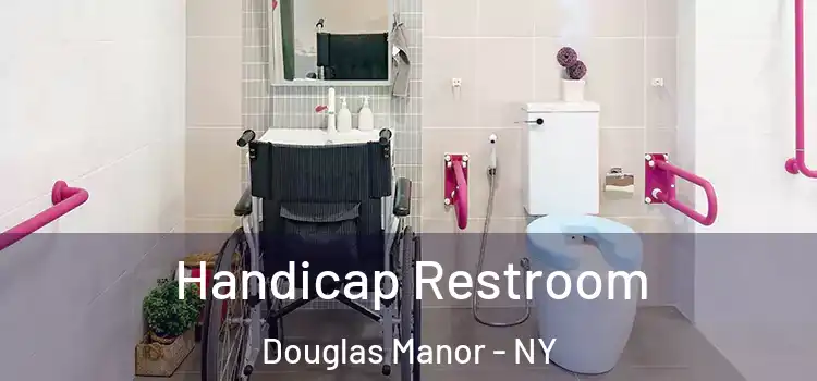 Handicap Restroom Douglas Manor - NY