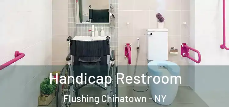 Handicap Restroom Flushing Chinatown - NY