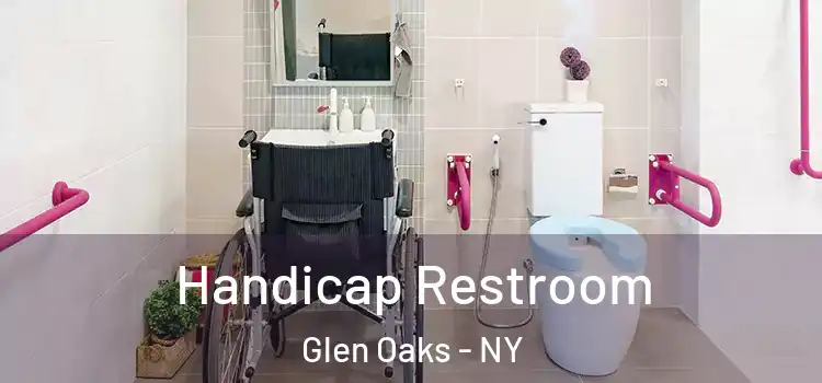 Handicap Restroom Glen Oaks - NY