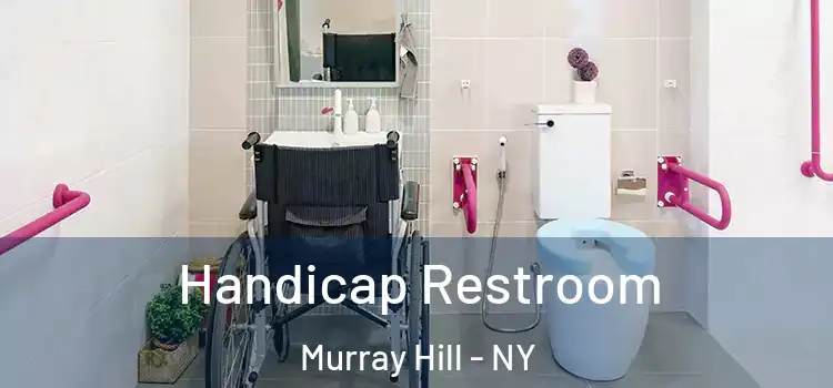  Handicap Restroom Murray Hill - NY
