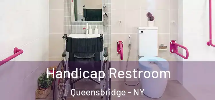 Handicap Restroom Queensbridge - NY