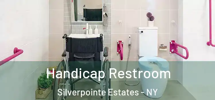  Handicap Restroom Silverpointe Estates - NY