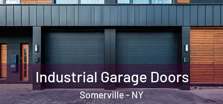  Industrial Garage Doors Somerville - NY