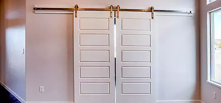 Glass Barn Door with Installation Hardware Kit Beechhurst