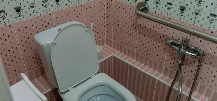 Meeting Diverse Needs With Accessible Restroom Solutions in Malba, NY