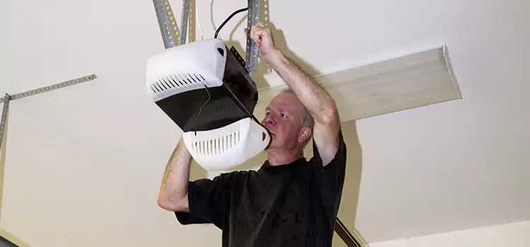 Garage Door Opener Service Flushing