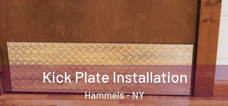 Kick Plate Installation Hammels - NY