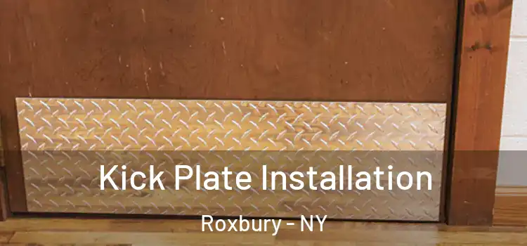 Kick Plate Installation Roxbury - NY