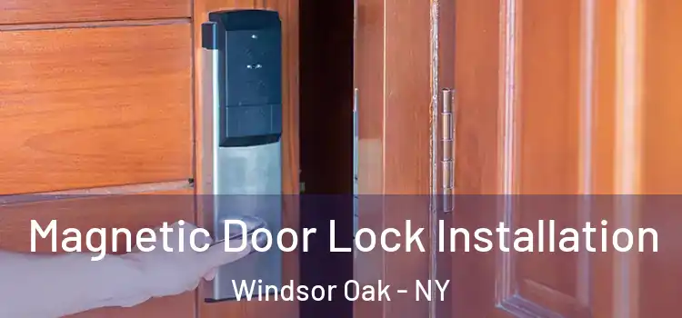  Magnetic Door Lock Installation Windsor Oak - NY