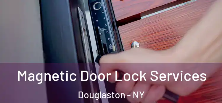 Magnetic Door Lock Services Douglaston - NY