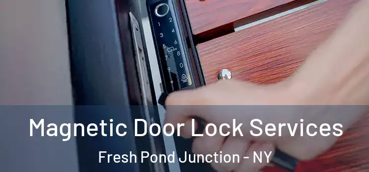 Magnetic Door Lock Services Fresh Pond Junction - NY