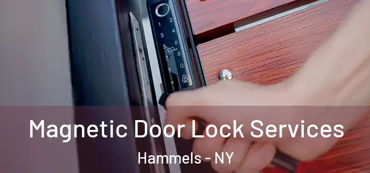  Magnetic Door Lock Services Hammels - NY