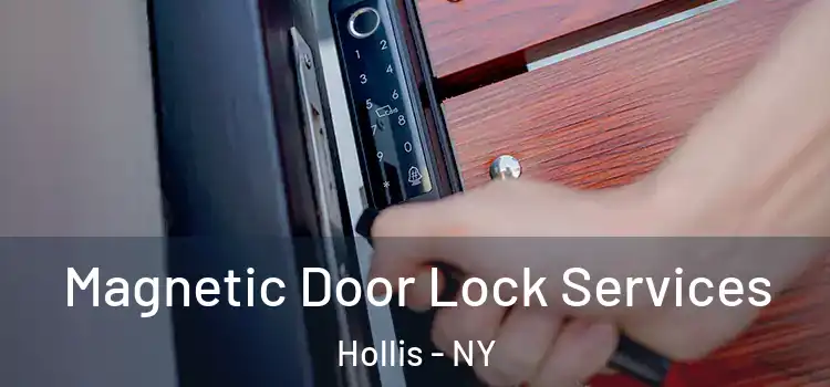 Magnetic Door Lock Services Hollis - NY